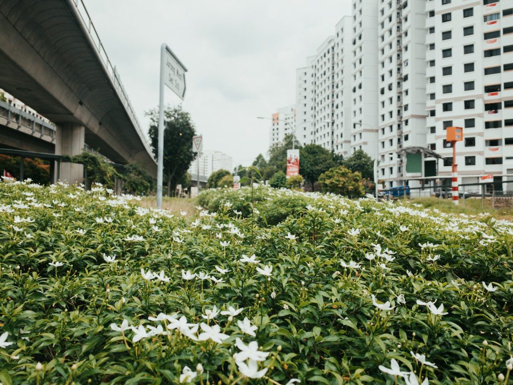 shawn Zz7U3tO0Lrs unsplash